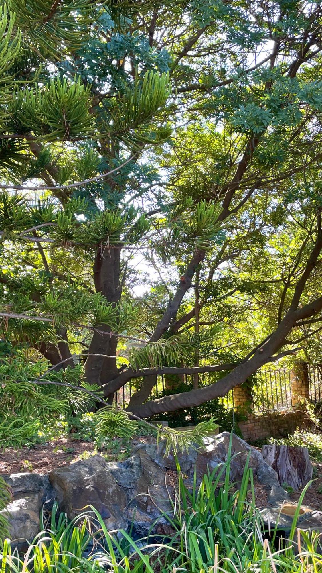 Unique Hout Bay House Βίλα Εξωτερικό φωτογραφία